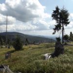 Vorausschau auf dem Weg zum Grenzsteig Vorausschau auf dem Weg zum Grenzsteig