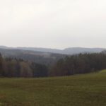 Ausblick Richtung Vorwald