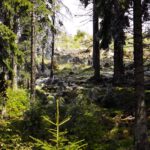 Ein bisserl was liegt schon unten