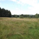 Besonders schützenswertes Biotop - mit Hochspannungsleitung darüber...