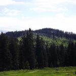 Mittagsplatzl über dem Arberschachten Mittagsplatzl über dem Arberschachten