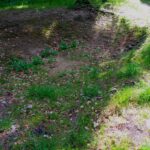 Überreste der Wolfgrube