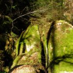 Auch hier gibt es Spalten