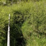 Wo dieser Weg wohl hinführt?