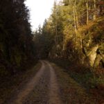 Hohlweg für die Lokalbahn: Laut Garmin-Karte bei der Nachbearbeitung hätte ich hier 40 zusätzliche Höhenmeter gemacht