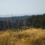 Weit draußen der Hirschensteinkamm