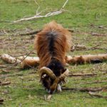Nicht stören, ich habe gerade ganz viel Hunger! Nicht stören, ich habe gerade ganz viel Hunger!