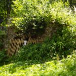 Verfallender Erdkeller