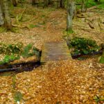 Eine von mehr als sieben Brücken Eine von mehr als sieben Brücken