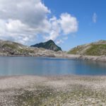 In meinem Element In meinem Element