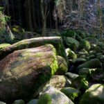 Aufgeräumt sieht anders aus