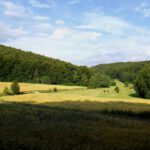 Der Weg nach Mittelburg