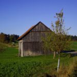 Scheune im Streuobst