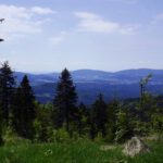 Donau-Wald-Kette Donau-Wald-Kette