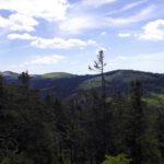 Die zwei kommen heute noch dran