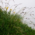 Also zurück zur botanischen Fotografie Also zurück zur botanischen Fotografie