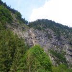 Ja! Es reißt wieder auf