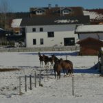 Ein bisserl neugierig