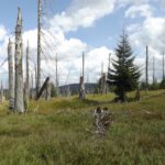 Auf dem Grenzkamm Auf dem Grenzkamm