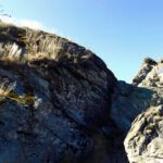 Herbstliche Felsvegetation