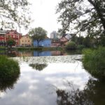 Gleich sind wir beim Einkehrschwung