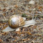 Dieser Freund hat noch mehr Zeit als ich