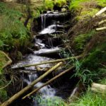 Energievolle Kaskaden