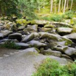 Heißt Butterfass, erinnert mich aber eher an den Doost Heißt Butterfass, erinnert mich aber eher an den Doost