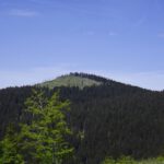 Kleiner Arber voraus! Kleiner Arber voraus!