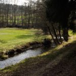 Zurück an der Ascha