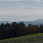 Ausblick Richtung Thiergarten