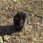 Hallo, ich bin auch da!