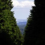 Aussicht ins Marienbader Hinterland