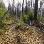 Wo soll ich da durchkommen?