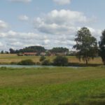 Weiher vor dem Gewerbegebiet