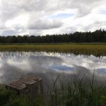 Auch ein Moosweiher kann spiegeln Auch ein Moosweiher kann spiegeln