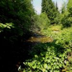 Großer Schwarzbach Großer Schwarzbach