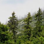 Einen besseren Blick auf das Steinerne Meer gibt es auf dieser Aufstiegsroute nicht