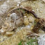 Sturm- oder Schneeopfer?