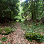 Panzersperren auf der böhmischen Seite