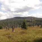 Plattenhausriegel und Bärenlochriegel Plattenhausriegel und Bärenlochriegel