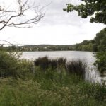 Mühlweiher Mühlweiher