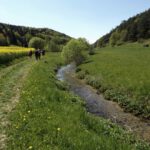 Der Högenbach wird unterhalb von Haunritz zur Bezirksgrenze