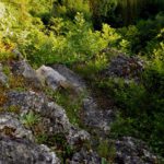 Auf der Teufelskanzel gibts sogar ein Bankerl