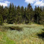 Insektenbrutstation Insektenbrutstation