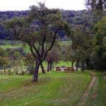 Am Schluss geht es noch an der schön im Streuobst gelegenen Kneippanlage vorbei