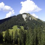 Grasköpfel mit Wiesbauernalm