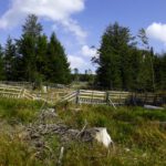 Schrebergärten hier oben?