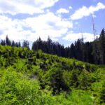 Interessanter Geländeeinschnitt Interessanter Geländeeinschnitt