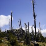 Böhmen ist dort drüben, ja!